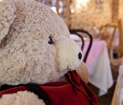 brambles-english-tea-room-naples-teddy